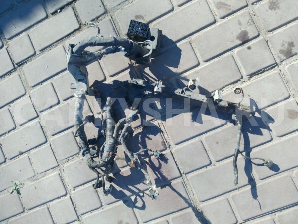 Проводка двигателя Kia Ceed ED1 Kia Cee'd оригинальный номер 91400 1H140